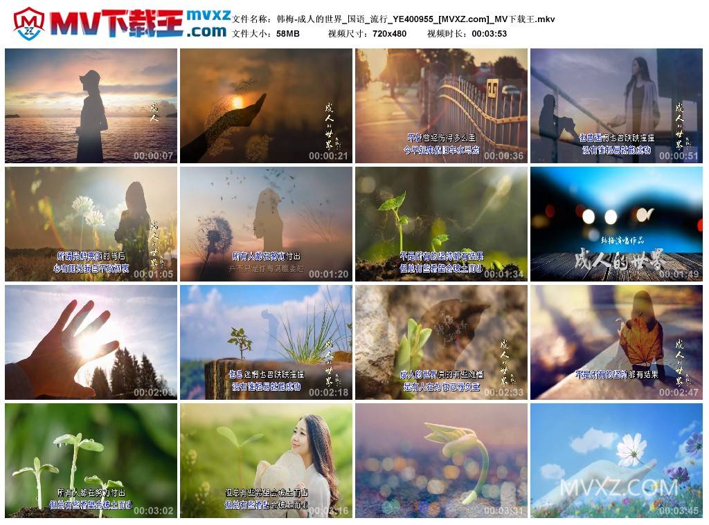 韩梅-成人的世界_国语_流行_YE400955